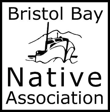 bbna logo square