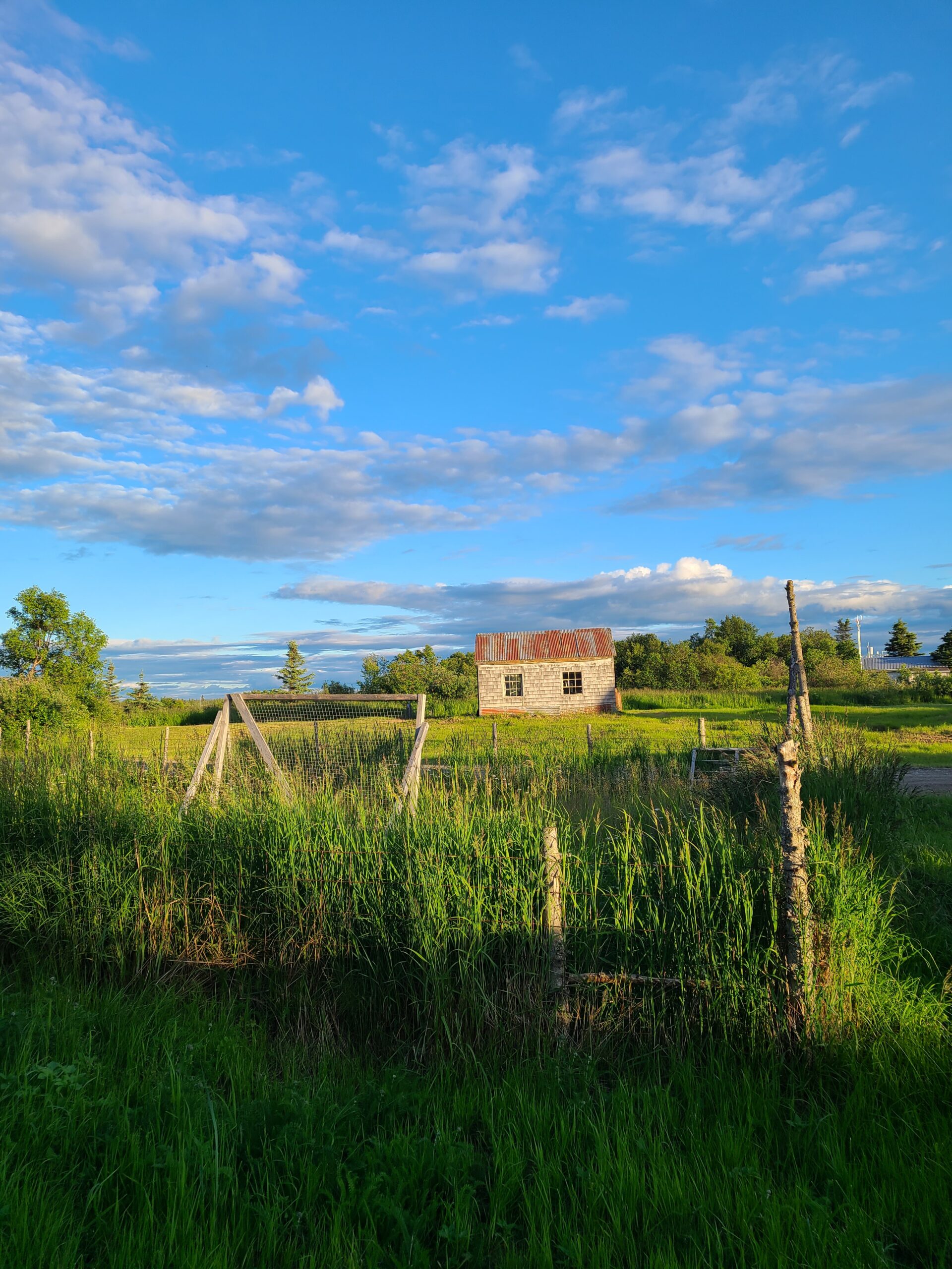 House on other side of Marsh in Iguigug, taken 2024